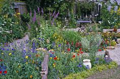 a garden filled with lots of different types of flowers