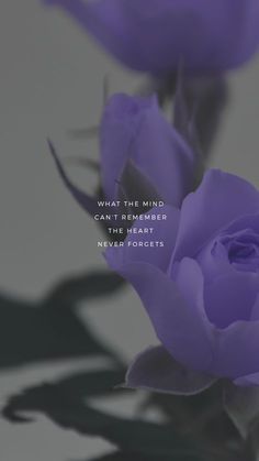 two purple roses with a quote about what the mind can't remember