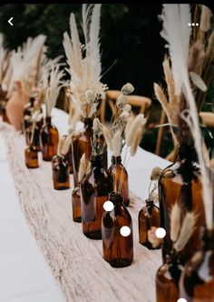 several brown glass bottles with dried plants in them are lined up on a table cloth