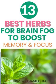 Herbs for brain fog Brain Fog Remedies, Clear Brain Fog, Foggy Brain, Brain Boosting Foods, Brain Memory, Brain Boost, Natural Acne, Boost Memory, Home Health Remedies