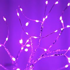 purple lights are shining on the branches of a tree