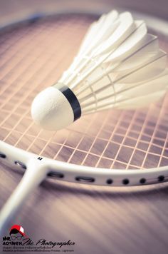 Badminton Pictures, Badminton Photos, Badminton Games, David Laid, Pv Sindhu, Player Quotes, Badminton Sport, Sport Volleyball, Racquets