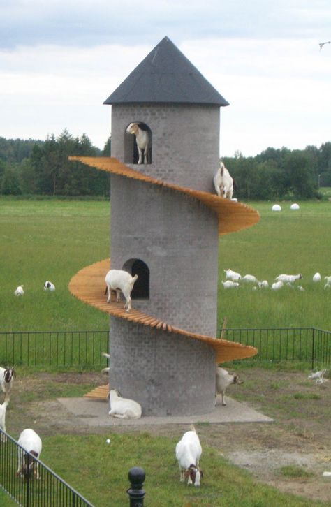 Goat Tower, Goat Playground, Goat Shed, Goat Shelter, Goat Pen, Goat House, Goat Barn, Raising Goats, Future Farms