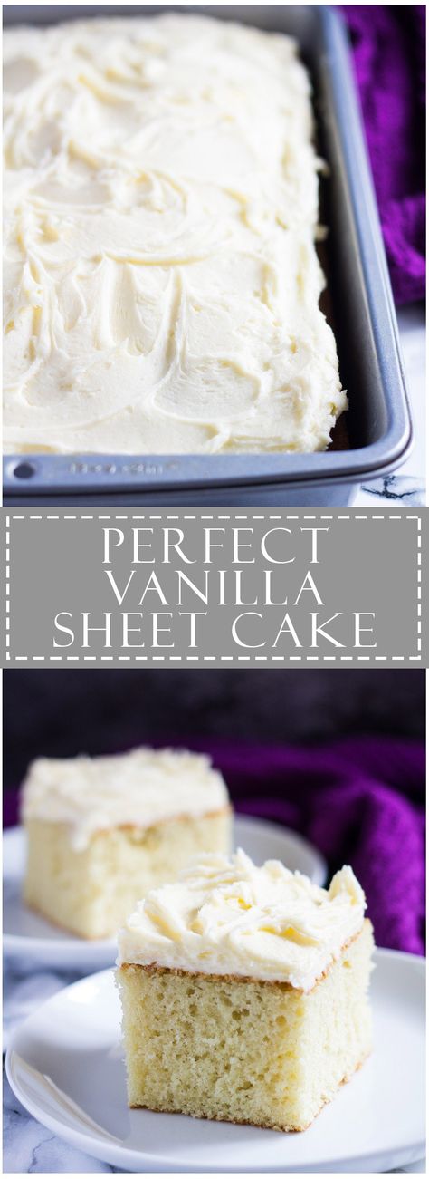 Perfect Vanilla Sheet Cake | Marsha's Baking Addiction Cake Receipt, Bday Desserts, 9x13 Desserts, Fluffy Vanilla Cake Recipe, Vanilla Sheet Cake, 9x13 Cake, Traybake Cake, Vanilla Sheet Cakes, Cannoli Shells