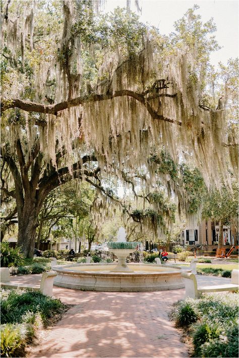 Savannah Astetic, Wedding In Savannah Georgia, Small Savannah Wedding, Coastal Georgia Wedding, Savannah Georgia Photography, Savannah Ga Elopement, Savannah Wedding Photos, Savannah Georgia Engagement Pictures, Savannah Wedding Venues