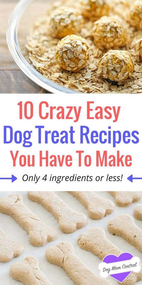 These easy dog treat recipes come together in a matter of minutes and only require four ingredients or less! Get inspired with 10 easy recipes. Pet Recipes, Homemade Dog Cookies, Pet Treats Recipes, Easy Dog Treat Recipes, Dog Treats Homemade Easy, Dog Biscuit Recipes, Easy Dog Treats, Healthy Dog Treats Homemade, Doggie Treats