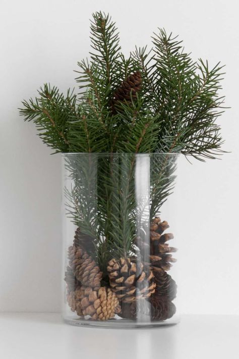 DIY Fresh Pine Centerpiece Pine Tree Branches Decor, Pine Tree Decoration Ideas, Christmas Tree Branch Centerpiece, Pine Tree Clippings Decor, Pine Cone Vase, Diy Pinecone Centerpiece, Christmas Pinecone Centerpieces, Pine Branches Decoration, Pine Boughs Decorations Diy