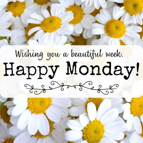 Happy Monday Images, Good Morning Wishes Friends, Monday Greetings, Good Morning Monday Images, Good Morning Monday, Happy Good Morning Images, Monday Morning Quotes, Monday Images, Beautiful Good Night Quotes