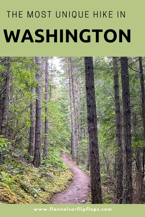 The Tubal caine trail in washington state is a very unique hike. Read more to see where it leads! Pnw Hikes, Tubal Cain, Washington Camping, Washington Hiking, Pnw Hiking, Washington Things To Do, Fun Vacations, Washington Trip, Washington State Hikes