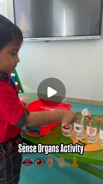 Sense Organs Project, Smelling Activities Preschool, 5 Sense Activity For Preschool, Sense Organs Activities For Kids, Sense Organ Activity For Kindergarten, Evs Activity For Kindergarten, Senses Activity, Our Senses Activities, Senses Activity Preschool