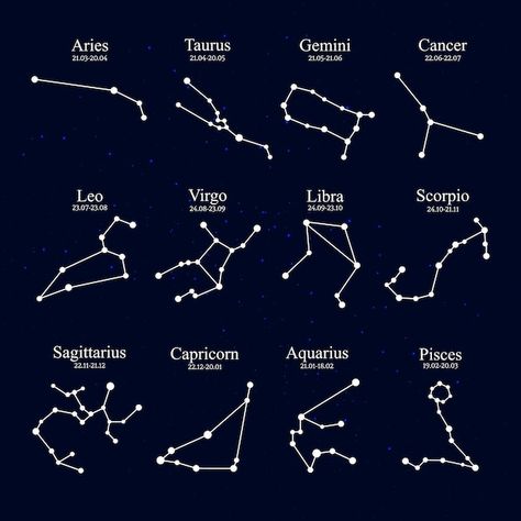 Feb 21 Zodiac Signs, Zodiac Constellation Art, Leo Constellation Tattoo, Constellation Chart, Constellation Zodiac Signs, 12 Constellations, Aquarius Constellation, Constellation Jewelry, Constellation Art