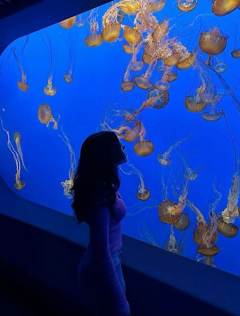 Aquarium Date Aesthetic, Aesthetic Aquarium, Aquarium Date, Aquarium Photos, Orange Photography, Aquarium Pictures, Travel Instagram Ideas, Date Aesthetic, Jellyfish Aquarium