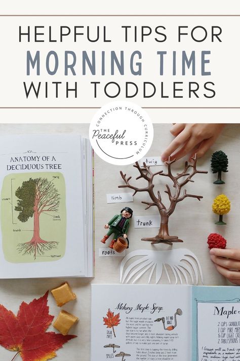 Easy Morning Activities For Kids, Preschool Waldorf Activities, Homeschool For Two Year Old, Morning Activities For Preschoolers, Waldorf Toddler Activities, Montessori For Toddlers, Morning Toddler Activities, Toddler Morning Activities, Morning Basket Ideas Toddlers