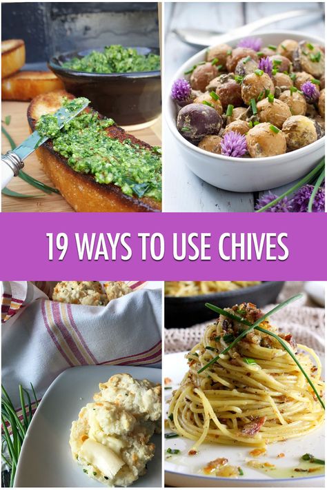 Chive Flowers Recipe, Chives Recipe, Cooking Dried Beans, Garlic Chives, Garlic Recipes, Garden Recipes, Fresh Chives, Recipe Roundup, Cooking Food