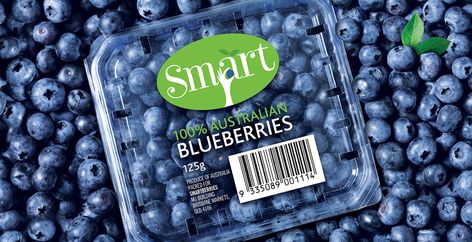 Creative Agency: AKA Brand Design Project Type: Produced, Commercial Work Client: Smart Berries Location: Australia Packaging Contents... Blueberry Packaging Design, Blueberry Packaging, Fruit Labels, Food Sticker, Fruit Packaging, Food Branding, Creative Package, Premium Brand, Food Stickers