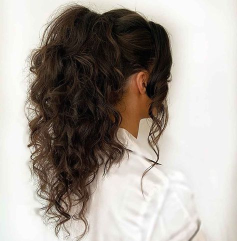 22 Examples of the Best High Ponytail Ideas You'll Ever See Messy High Ponytails Curly Hair, Long Curly Hairstyles Ponytail, Messy Wavy Ponytail Hairstyles, High Ponytail Hairstyles For Prom Curls, Curly Hair Formal Ponytail, Curled Hair High Ponytail, Curly Wavy Ponytail, Perm Ponytail Hairstyles, Ponytail Style For Wedding