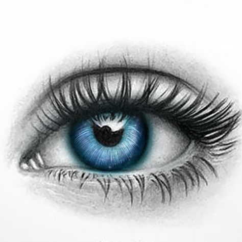 Ojo Tattoo, Realistic Eye Tattoo, Face Art Drawing, Pencil Drawing Images, Realistic Eye Drawing, Eyeball Art, Pencil Portrait Drawing, Eye Drawing Tutorials, Eye Sketch