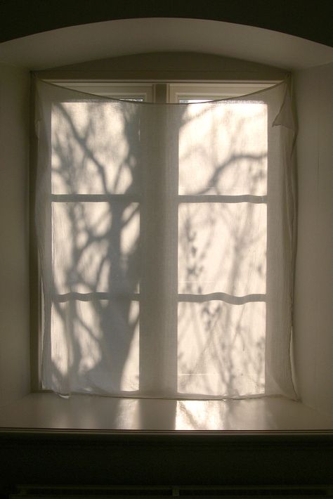 Shadows On The Wall, Tree Shadow Photography, Windows Shadow, Shadow Tree, Tree Shadow, Shadow Shadow, Window Shadow, Arc Light, Sun Shadow