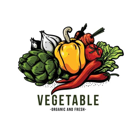 Illustration Of Vegetables, Vegetable Logo Design, Vegetable Logo, Vegetable Packaging, Vegetable Cartoon, Vegetable Benefits, Vegetable Illustration, Kitchen Logo, Pallet Patio Furniture