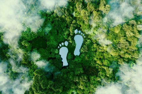 A Simple Definition of a Carbon Footprint and What Our Own Carbon Footprint Consists Of / 5-Minute Crafts Sustainable Marketing, Water Footprint, Waste Reduction, Sustainable Tourism, Eco Friendly Travel, Human Activity, Sustainable Travel, Explore Nature, Ways To Travel