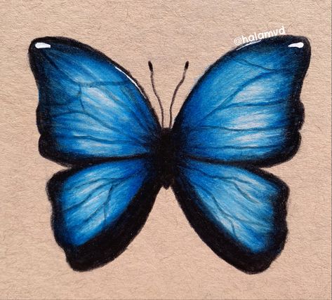 #butterfly #blue #mydrawing #my_drawing Blue Butterfly Drawing, Blue Drawings, Butterfly Blue, Butterfly Drawing, Easy Diy Art, Colorful Butterflies, Blue Butterfly, Easy Paintings, Learn To Draw