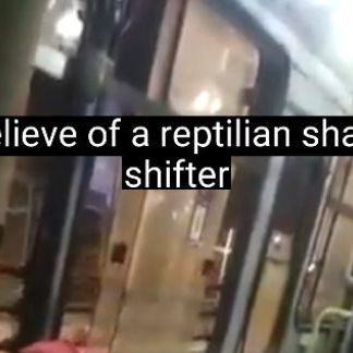 Sam The illusionist on Instagram: "Reptilian Shape shifter caught on camera - Proof is out there! #reptilianshapeshifters #reptilians #samtheillusionist #alienscaughtoncamera #aliens" Camera Proof, Reptilian Shapeshifter, The Illusionist, Shape Shifter, Caught On Camera, July 4, Current Events, Just Me, Aliens