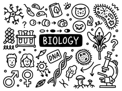 Biology doodle line set school universit... | Premium Vector #Freepik #vector #doodle #doodle-sketch #cartoon-doodle #cartoon-line Biology Doodle Art, Biology Art Draw, Cute Biology Doodles, Biology Drawing Ideas, Science Mural, Biology Doodles, Biology Drawing, Cover Page For Project, Science Drawing