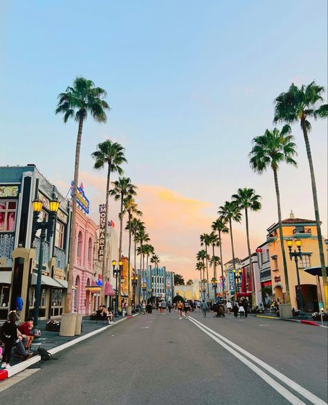 Travel Aesthetic Disney, Usa Florida, Disney Summer Aesthetic, Hollywood Travel, Universal Studios Wallpaper, Hollywood Vibes, Disney Vibes Aesthetic, Hollywood Studios Wallpaper, Disneyland Hollywood