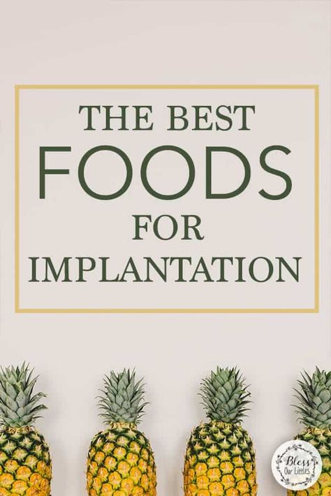 The Best Foods that Help with Successful Implantation Ivf Implantation, Ivf Diet, Fertility Tea, Fertility Foods, Fertility Health, Fertility Diet, Fertility Boost, Pregnancy Food, Inflammatory Foods