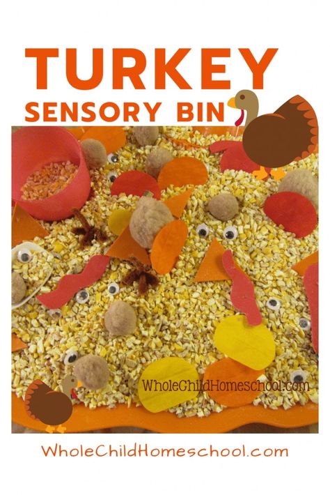 Thanksgiving Themed Activities Preschool, Preschool Thanksgiving Sensory Bin, Thanksgiving Sensory Activities Preschool, Sensory Bin Thanksgiving, Thanksgiving Sensory Table Ideas, November Preschool Sensory Bin, Daycare Thanksgiving Activities, Art Sensory Bin Preschool, Turkey Sensory Bin Preschool