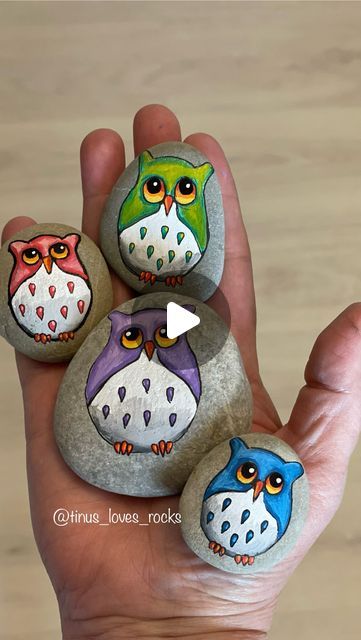 Owl Art Painting, Ladybug Rocks, Painted Rock Animals, Happy Stones, Therapeutic Art, Rock Artists, Painted Rocks Craft, Painting Rocks, Owl Painting