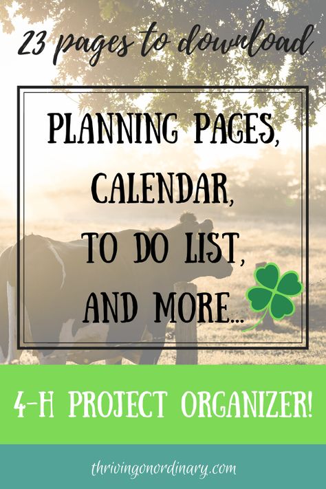 4h Leader Ideas, 4-h Pledge, 4-h Record Book Examples, 4-h Record Book, 4h Turkey Project, 4h Week Ideas, 4h Activity Ideas, 4 H Activities Ideas, 4-h Decorations