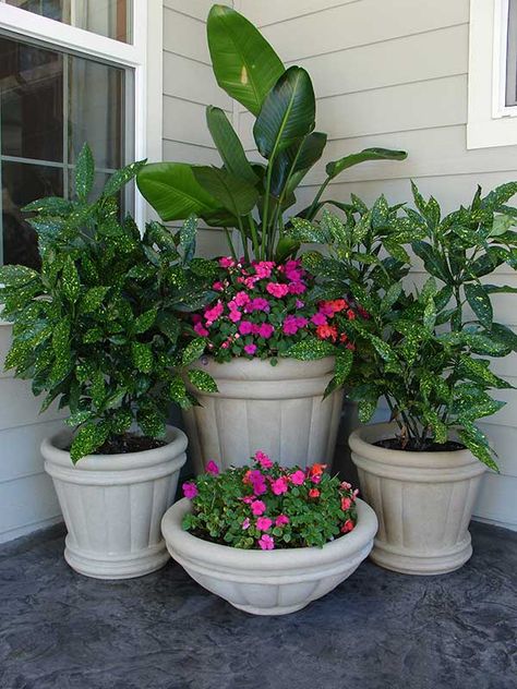 Porch Plants, Yard Fence, Container Gardening Flowers, Fence Landscaping, Patio Plants, Garden Containers, Patio Landscaping, Backyard Fences, Side Yard