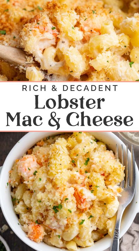 Creamy, decadent lobster mac and cheese is perfect for any holiday, date night, or special occasion. Luscious lobster meat and a rich sauce made with two types of cheese transform ordinary macaroni into a delectable, gooey, baked mac and cheese that's guaranteed to impress. Lobster Mac N Cheese, Lobster Mac N Cheese Recipe, Seafood Mac And Cheese, Bake Mac And Cheese, Lobster Mac, Lobster Mac And Cheese, Lobster Meat, Lobster Recipes, Baked Mac