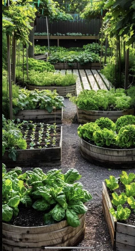 Garden Hacks, Potager Garden, Veg Garden, Home Vegetable Garden, Garden Yard Ideas, Vegetable Garden Design, Garden Layout, Veggie Garden, Edible Garden