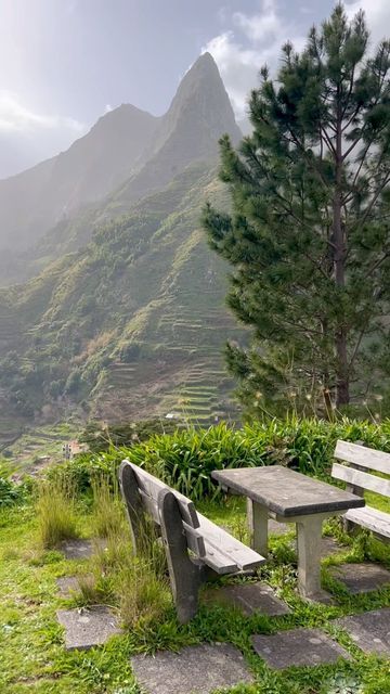 Sergio X Traveler on Instagram: "📍Miradouro Pico da Murta, Madeira, Portugal 🇵🇹 You might won’t find any information about this viewpoint. It is not included in the list of popular spots on Madeira. I also haven’t heard anything about this place before, but just accidentally came across on the way back from Fanal to Funchal. There is even no geolocation on Instagram to tag this place 😁 but you can definitely find it on Google Maps 🌍 I think Miradouro Pico da Murta is very unvalued. What do Funchal, Funchal Madeira, Budget Holidays, Best Flights, The Way Back, Budget Travel Tips, Portugal Travel, Island Vacation, Scenic Drive