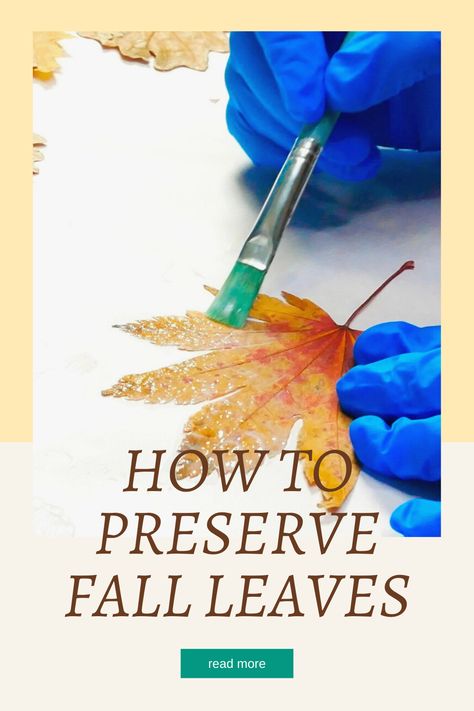 How To Save Leaves, Saving Fall Leaves, How To Preserve Autumn Leaves, Framed Leaf Art, Preserve Fall Leaves How To, Projects With Fall Leaves, Framing Leaves Diy, Things To Do With Pressed Leaves, Preserving Leaves Mod Podge