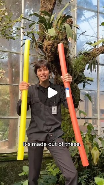 The Huntington on Instagram: "Can you tell this tree is fake? 🥸 While we have many living trees in the Conservatory, building an artificial tree allows us to create a disease-resistant space to display epiphytic plants like ant plants. Learn more about how we put together one of these trees with Bryce!" Tree In Room Diy, Diy Fake Tree Decor, Indoor Tree Ideas, Fake Branches Diy, Diy Tree In Bedroom, How To Make Fake Trees Diy, Foam Tree Diy, Diy Indoor Tree, Artificial Climbing Plants