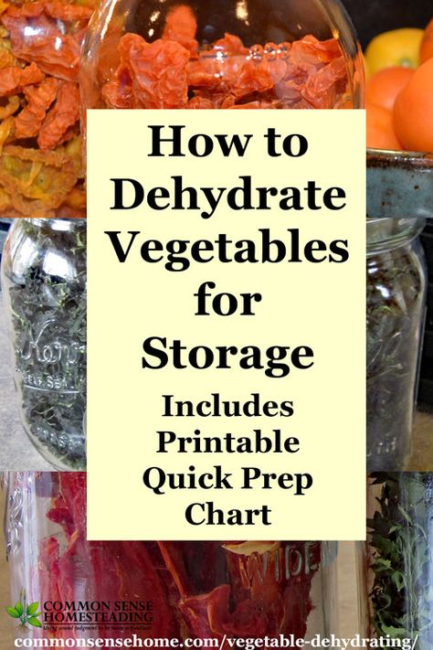 Vegetable Dehydrating is a great way to store veggies in less space with minimal equipment. Post includes printable chart with prep steps & drying times. Dehydrating Vegetables In Dehydrator, How To Dehydrate Vegetables, Dehydrating Frozen Vegetables, Dehydrate Vegetables In Air Fryer, Dehydrate Vegetables, Dehydrating Vegetables, Store Veggies, Dehydrator Recipes Fruit, Food Drying