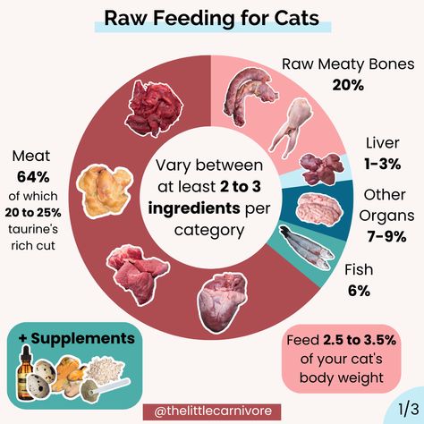 Calculator: raw diet for cats — The Little Carnivore Raw Cat Diet, Cat Raw Diet, Raw Food Cat Diet, Raw Diet For Cats, Raw Feeding Cats, Cat Raw Food Diet, Cat Raw Food, Raw Cat Food Diet, Cat Feed