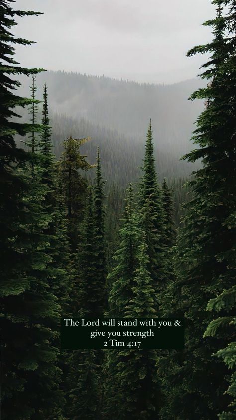 Job 34:32 Wallpaper, Bible Verse With Nature Background, Verses For Nonbelievers, Being Grounded Aesthetic, Earthy Christian Aesthetic, Bible Verse Wallpaper Dark Background, Nature Christian Wallpaper, Bible Verse Wallpaper Dark, Wallpaper Backgrounds Bible