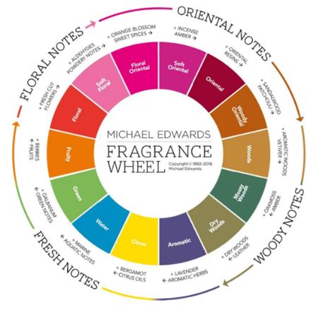 Michael Edwards Fragrance Wheel - different scents Fragrance Wheel, Perfume Versace, Demeter Fragrance, Fragrance Library, Perfume Recipes, Scentsy Fragrance, Homemade Soap Recipes, Citrus Oil, Diy Essential Oils