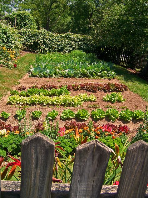 Fruit Vegetable Garden, Country Garden Vegetable, Country Veggie Garden, Vegetable Patch Garden, Country Farm Garden, Beautiful Country House, Backyard Fruit And Vegetable Garden, Farm Fruits And Vegetables, Beautiful Veggie Garden