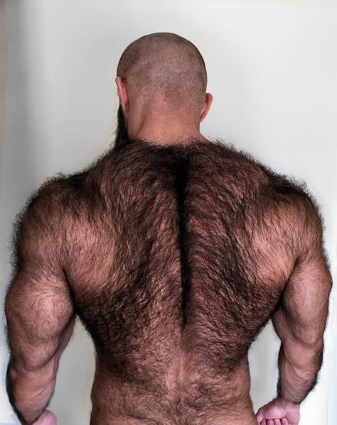 Good Physique Men, Buff Redhead Men, Big Buff Men, Body Hair Men, Big Muscular Man, Chubby Guy Reference, Famous Bald Men, Persian Men, Large Muscular Men