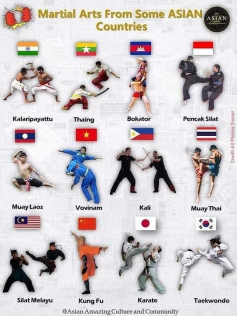 Random Charts And Maps All Martial Arts, Ekko League Of Legends, Different Martial Arts, Sejarah Asia, Random Knowledge, Self Defence Training, Trening Sztuk Walki, Self Defense Martial Arts, Karate Martial Arts