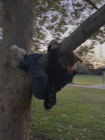 Dizzy Aesthetic Girl, Climbing A Tree Aesthetic, Light Downtown Girl Aesthetic, Extrovert Girl Aesthetic, Downtown Girl Aesthetic Pfp, Clumsy Girl Aesthetic, Downtown Girl Summer Aesthetic, Tree Climbing Aesthetic, Climbing Trees Aesthetic