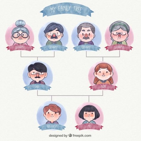 Family Tree Illustration, Family Tree Graphic, Genealogical Tree, Family Tree Drawing, Family Tree Clipart, Family Tree For Kids, Family Tree Template, Preschool Colors, Learning English For Kids