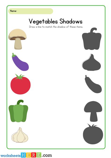 Vegetables Shadows Matching Activity PDF Worksheets For Kindergarten - WorksheetsHere.com Worksheet On Vegetables For Kindergarten, Classroom Posters Elementary, Ash Gourd, Shadow Matching, Worksheets For Kindergarten, Raw Mango, Bitter Gourd, Matching Activity, Collard Greens