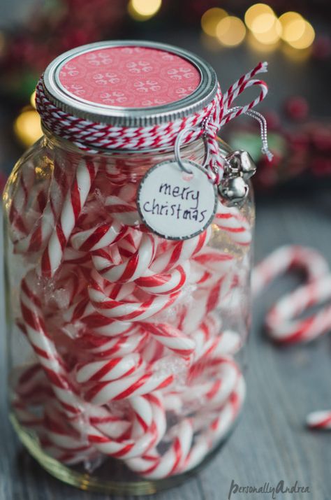 Last Minute Candy Candy Cane Jar Gift | personallyandrea.com Christmas Guessing Games Jar, Candy Jars Ideas, Christmas Candy Jars Ideas, Christmas Bazar, Christmas Aroma, Guessing Jar, Christmas Hosting, Crochet Cozies, Christmas Candy Jars