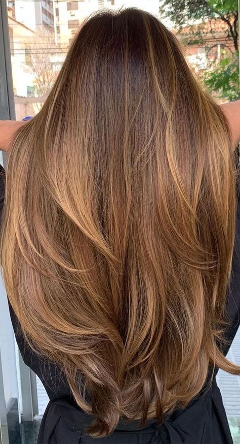 Color Brown Hair Highlights, Honey Brown Hair With Balayage, Golden Highlights On Dark Blonde Hair, Auburn Hair Color Highlights, Good Highlights For Brown Hair, Dyed Brunette Hair Colour, Black Hair To Caramel Brown, Light Brown Brunette Balayage, Balayage Hair Ginger Brown